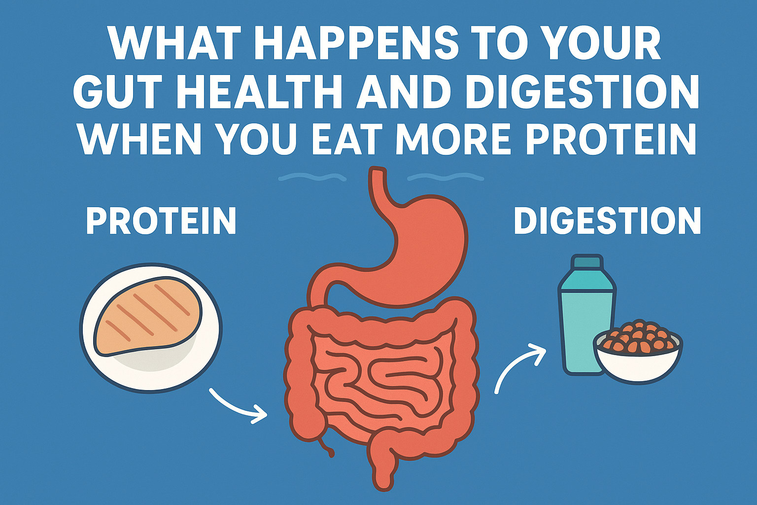 What Happens to Your Gut Health When You Eat More Protein