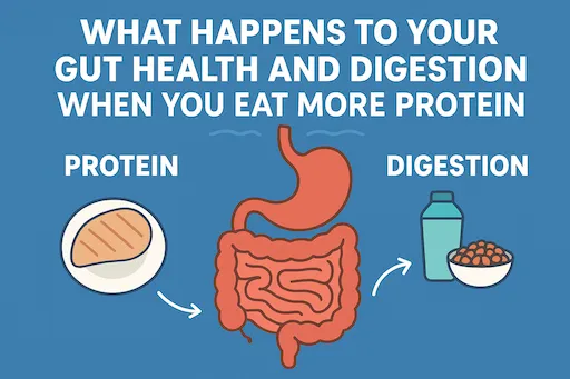What Happens to Your Gut Health When You Eat More Protein